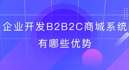 企业开发b2b2c商城系统有哪些优势?
